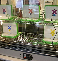 cooking olpc xo computer